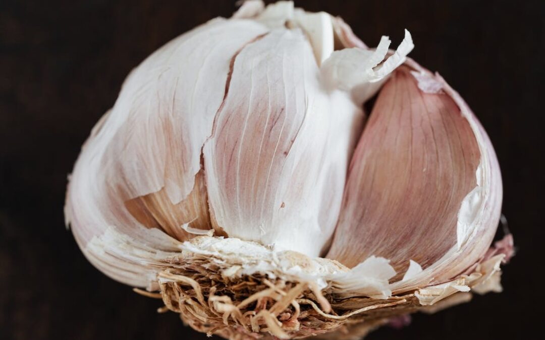 Les 5M : la méthode clé de l&rsquo;HACCP